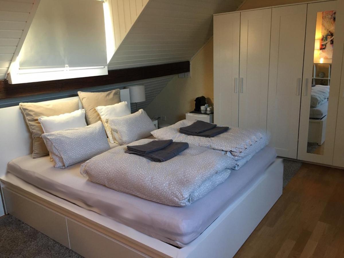 Апартаменты Cozy Attica - With Every Comfort - Berne Liebefeld Экстерьер фото